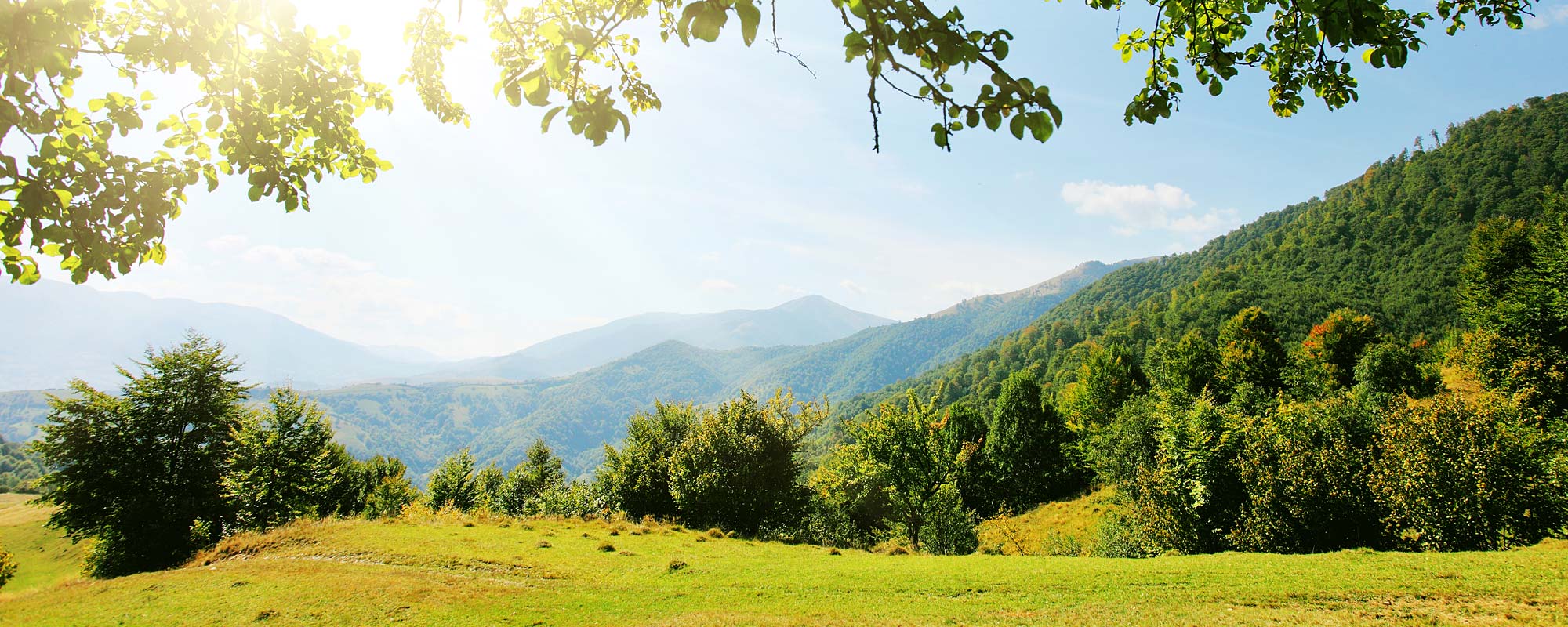 Naturlandschaft in Bayern